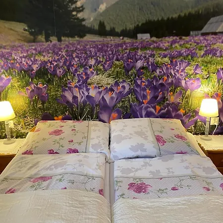 Affittacamere Pod Maciejowa