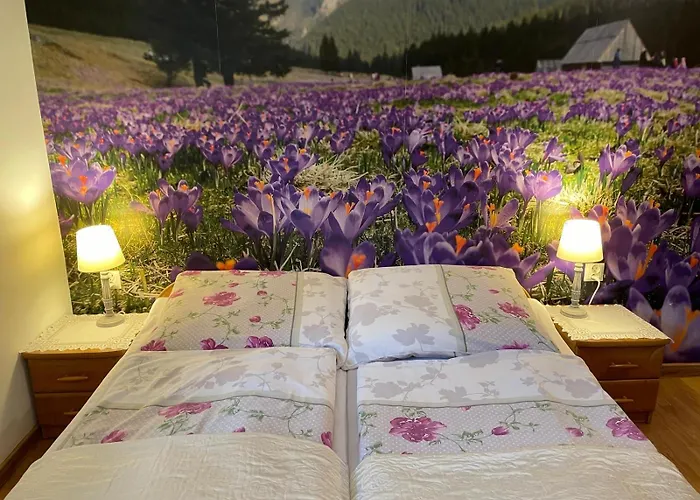 Affittacamere Pod Maciejowa