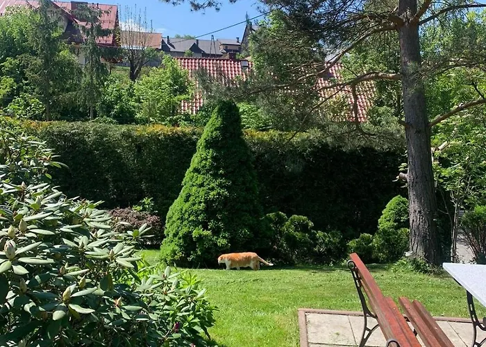 Pod Maciejowa Rabka-Zdrój